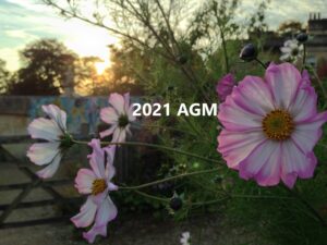 2021 AGM